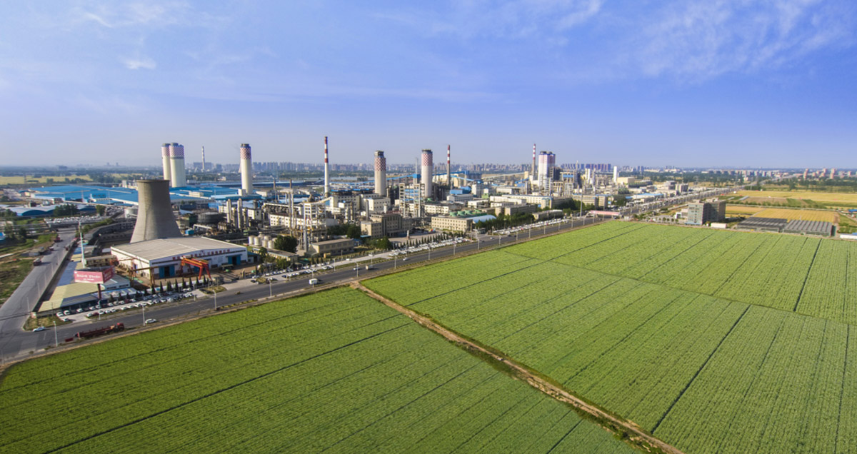 新鄉(xiāng)基地